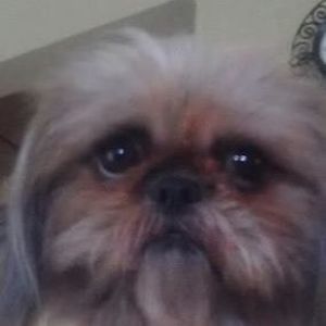 Meet your Posher, Michele